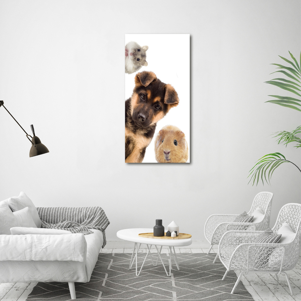 Foto-obraz akrylowy pionowy Zwierzęta domowe