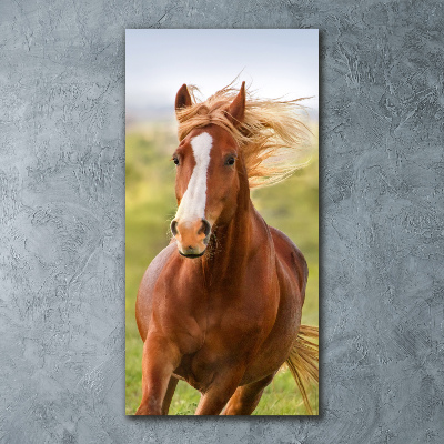 Foto-obraz szkło akryl pionowy Koń w galopie