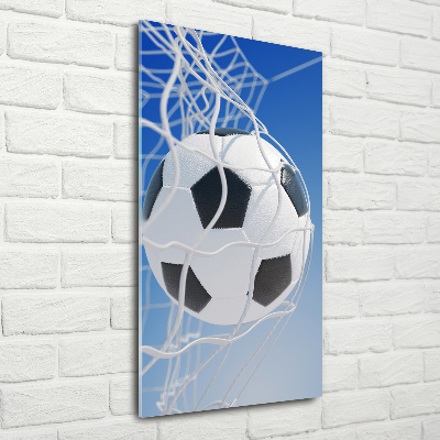 Foto obraz szkło akryl pionowy Piłka w bramce