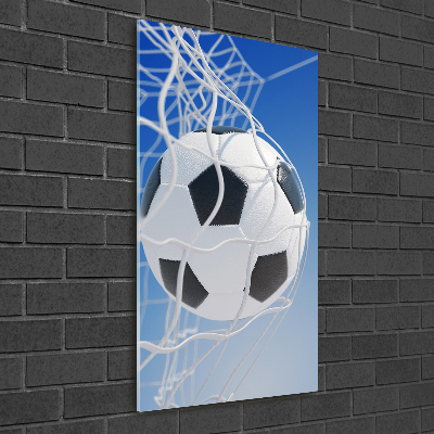 Foto obraz szkło akryl pionowy Piłka w bramce