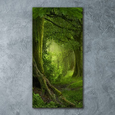 Obraz zdjęcie szkło akryl pionowy Tropikalna dżungla