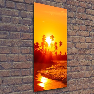Obraz zdjęcie szkło akryl pionowy Tropikalna plaża