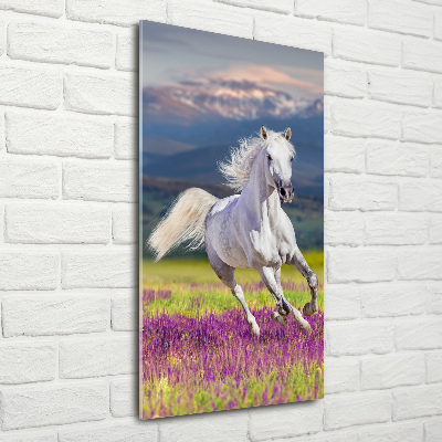 Foto-obraz szkło akryl pionowy Biały koń w galopie