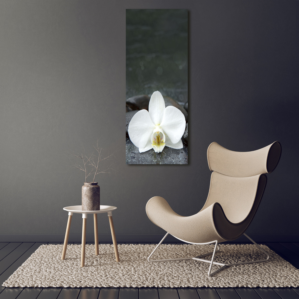 Obraz zdjęcie szkło akryl pionowy Orchidea kamienie