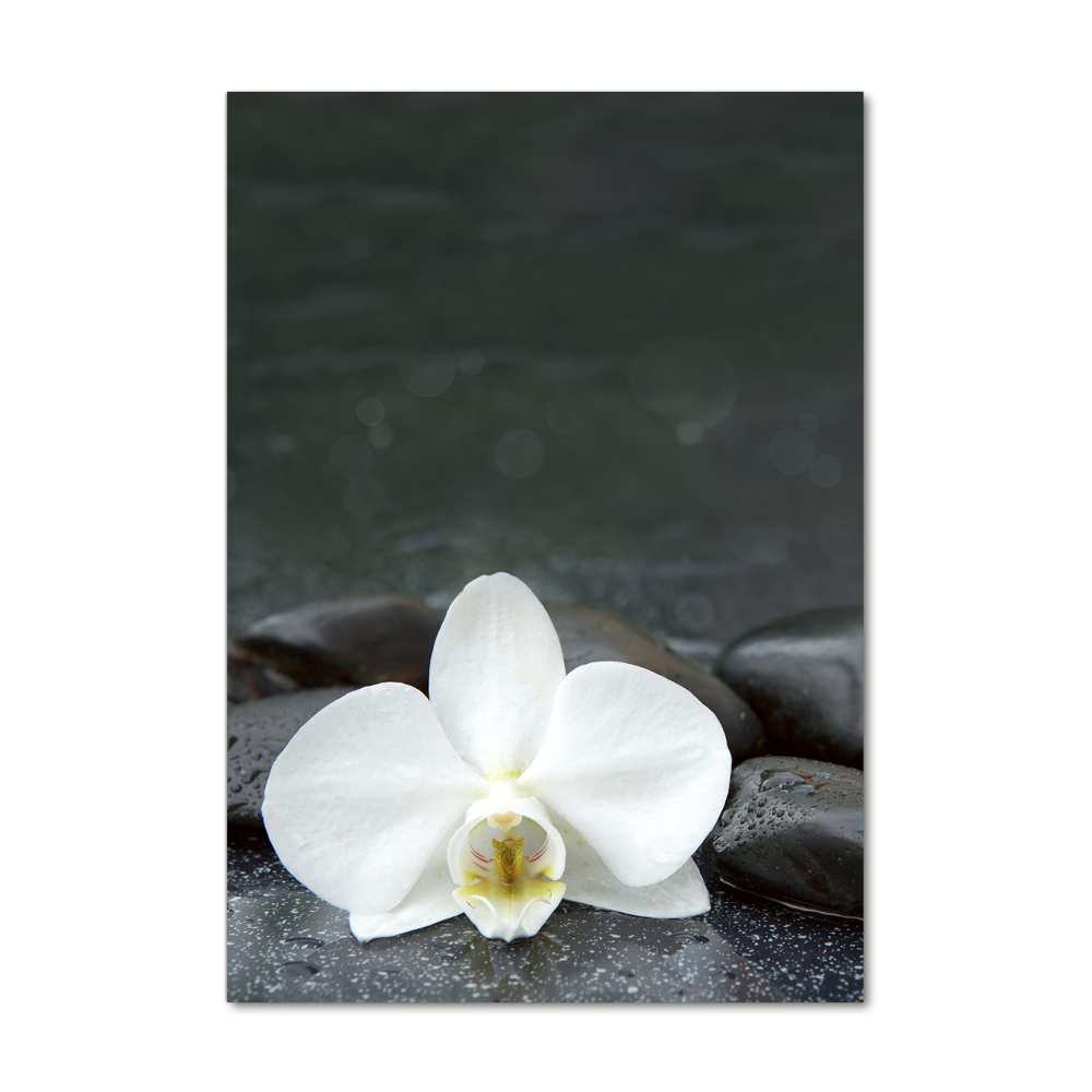 Obraz zdjęcie szkło akryl pionowy Orchidea kamienie