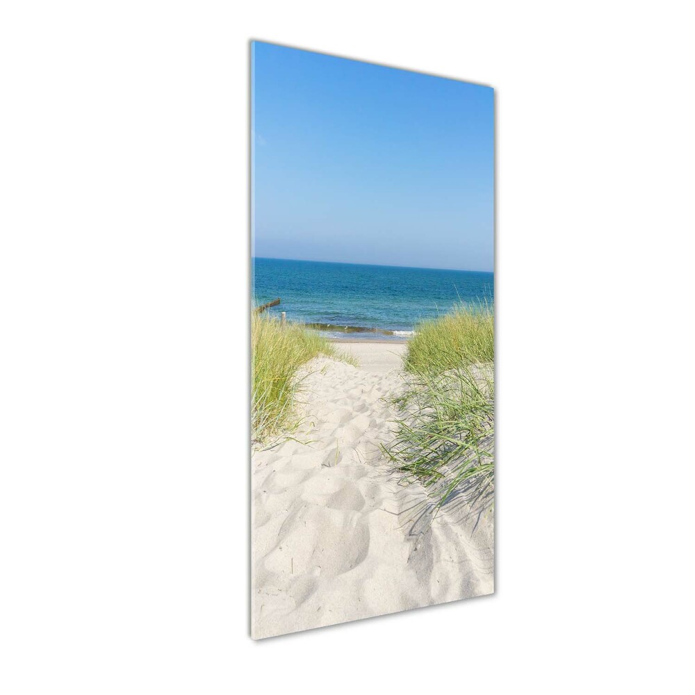 Obraz zdjęcie szkło akryl pionowy Nadmorskie wydmy