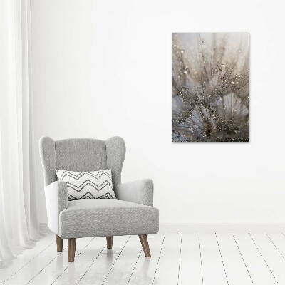 Obraz zdjęcie akryl pionowy Nasiona dmuchawca