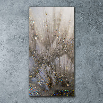 Obraz zdjęcie akryl pionowy Nasiona dmuchawca