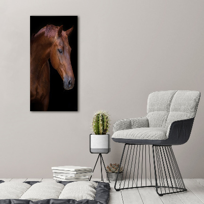 Foto-obraz szkło akryl pionowy Portret konia
