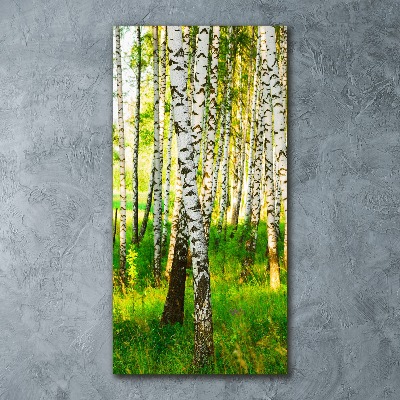 Fotoobraz na ścianę szkło akrylowe pionowy Las brzozowy