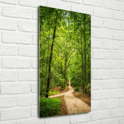 Obraz zdjęcie na ścianę akryl pionowy Ścieżka w lesie