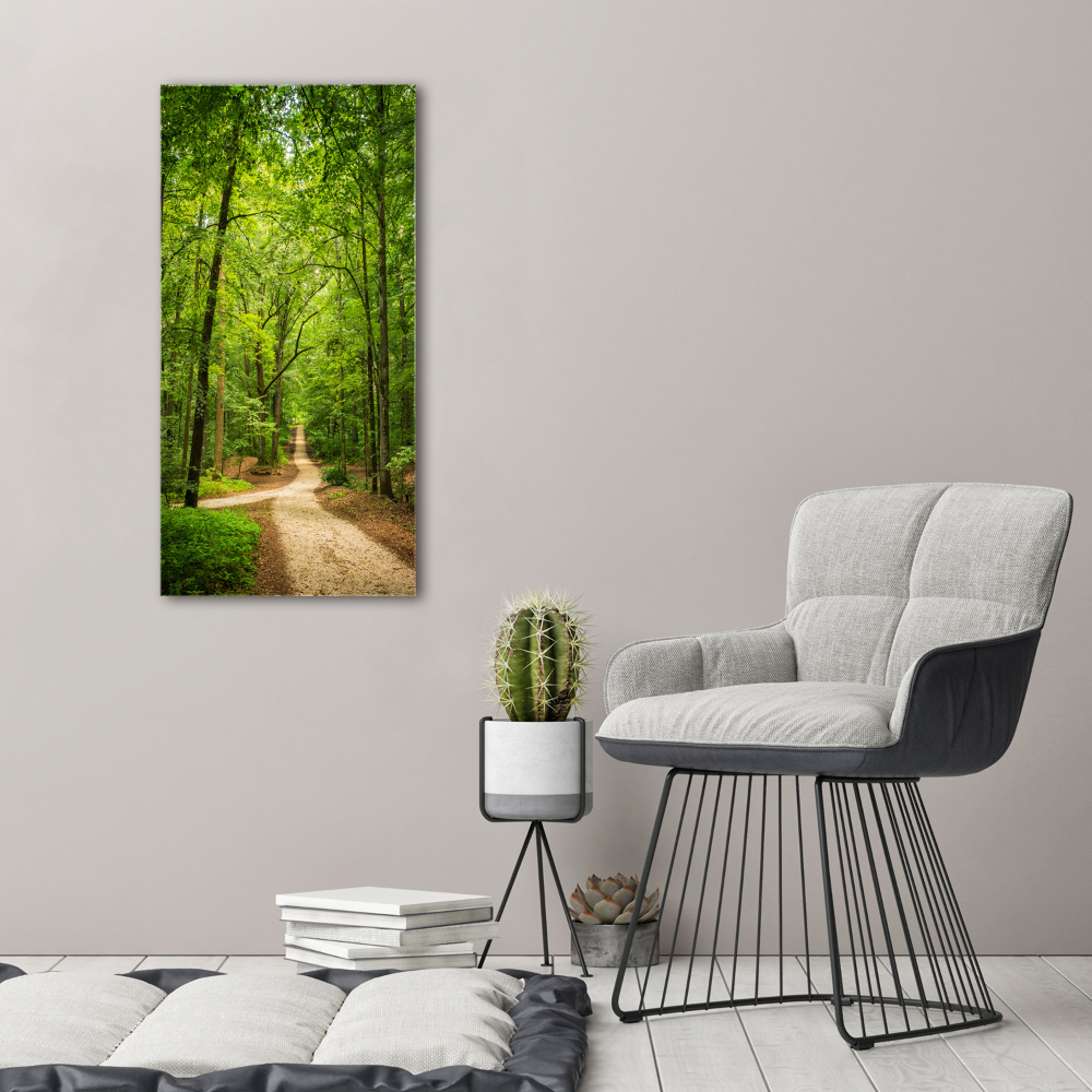 Obraz zdjęcie na ścianę akryl pionowy Ścieżka w lesie