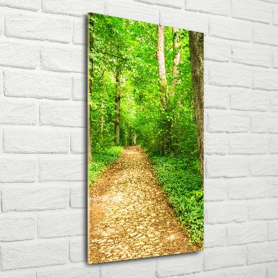 Obraz zdjęcie akryl pionowy Ścieżka w lesie