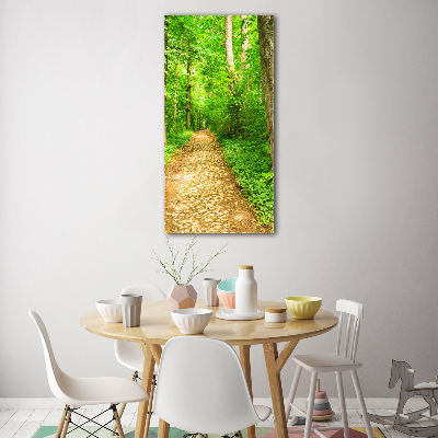 Obraz zdjęcie akryl pionowy Ścieżka w lesie