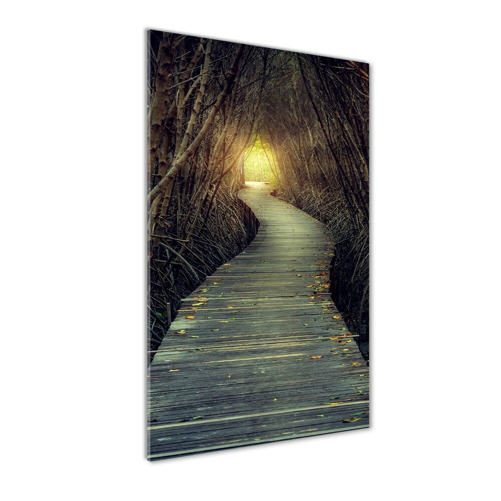 Obraz zdjęcie szkło akryl pionowy Ścieżka w lesie
