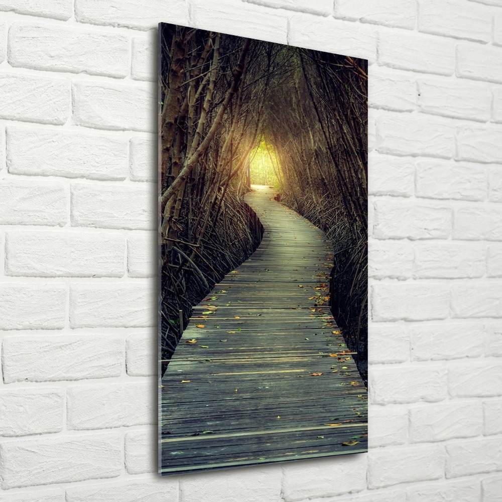 Obraz zdjęcie szkło akryl pionowy Ścieżka w lesie