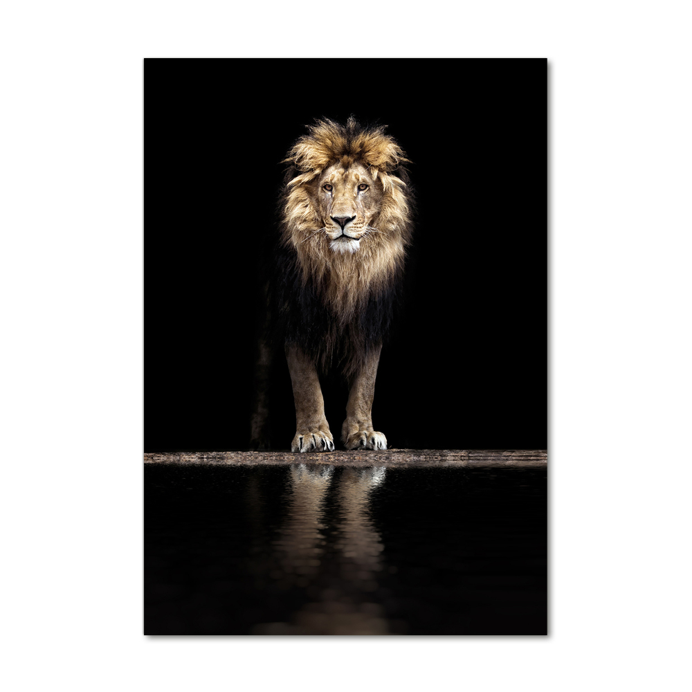Foto-obraz szkło akryl pionowy Portret lwa