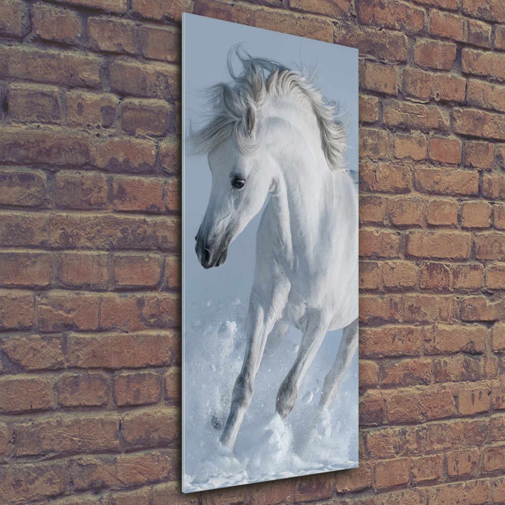 Foto-obraz na ścianę akrylowy Biały koń w galopie