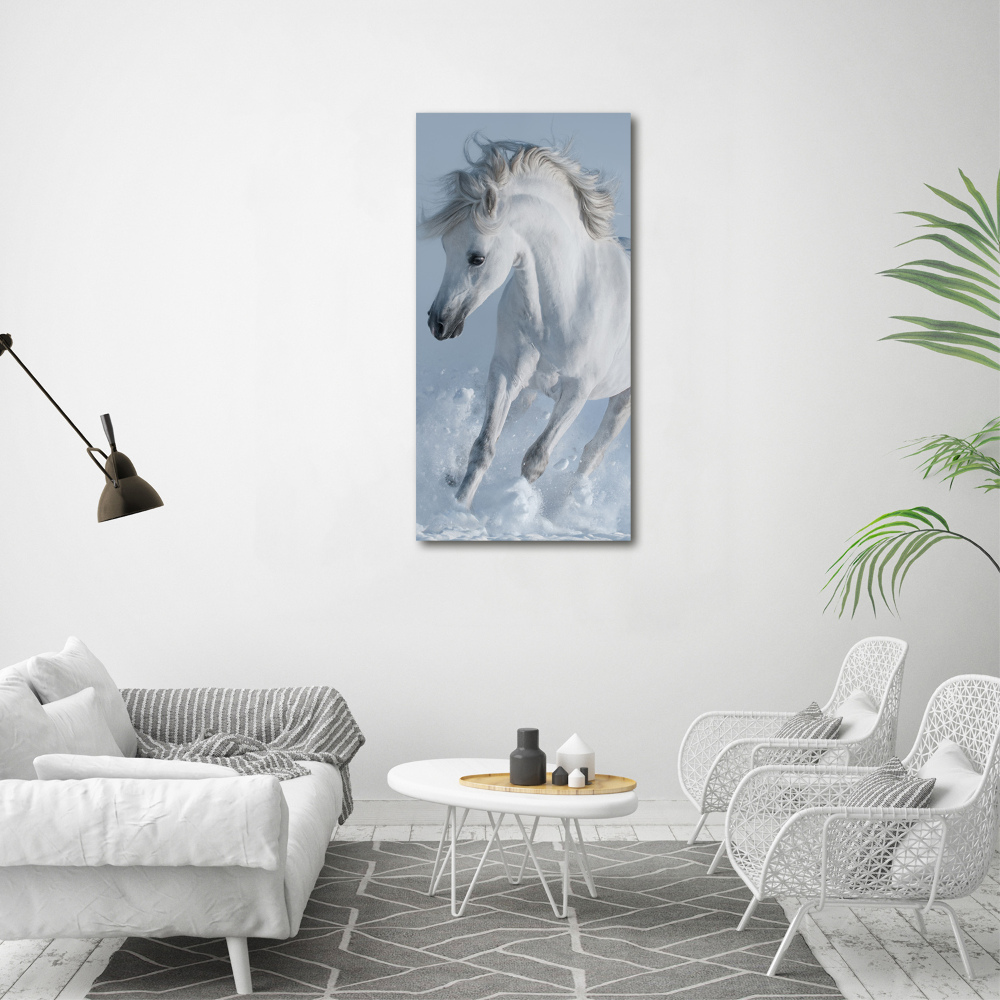 Foto-obraz na ścianę akrylowy Biały koń w galopie
