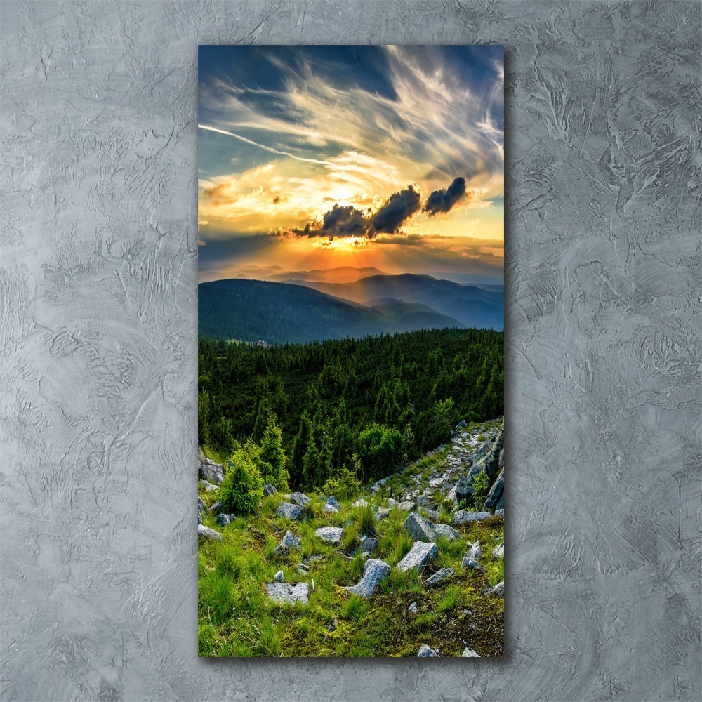 Obraz zdjęcie szkło akryl pionowy Panorama gór