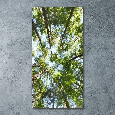 Obraz zdjęcie szkło akryl pionowy Korona drzew