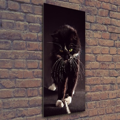 Foto-obraz szkło akryl pionowy Czarny kot