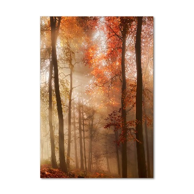 Obraz zdjęcie akryl pionowy Las jesienią