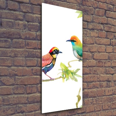 Obraz zdjęcie szkło akryl pionowy Ptaki