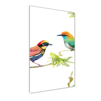 Obraz zdjęcie szkło akryl pionowy Ptaki