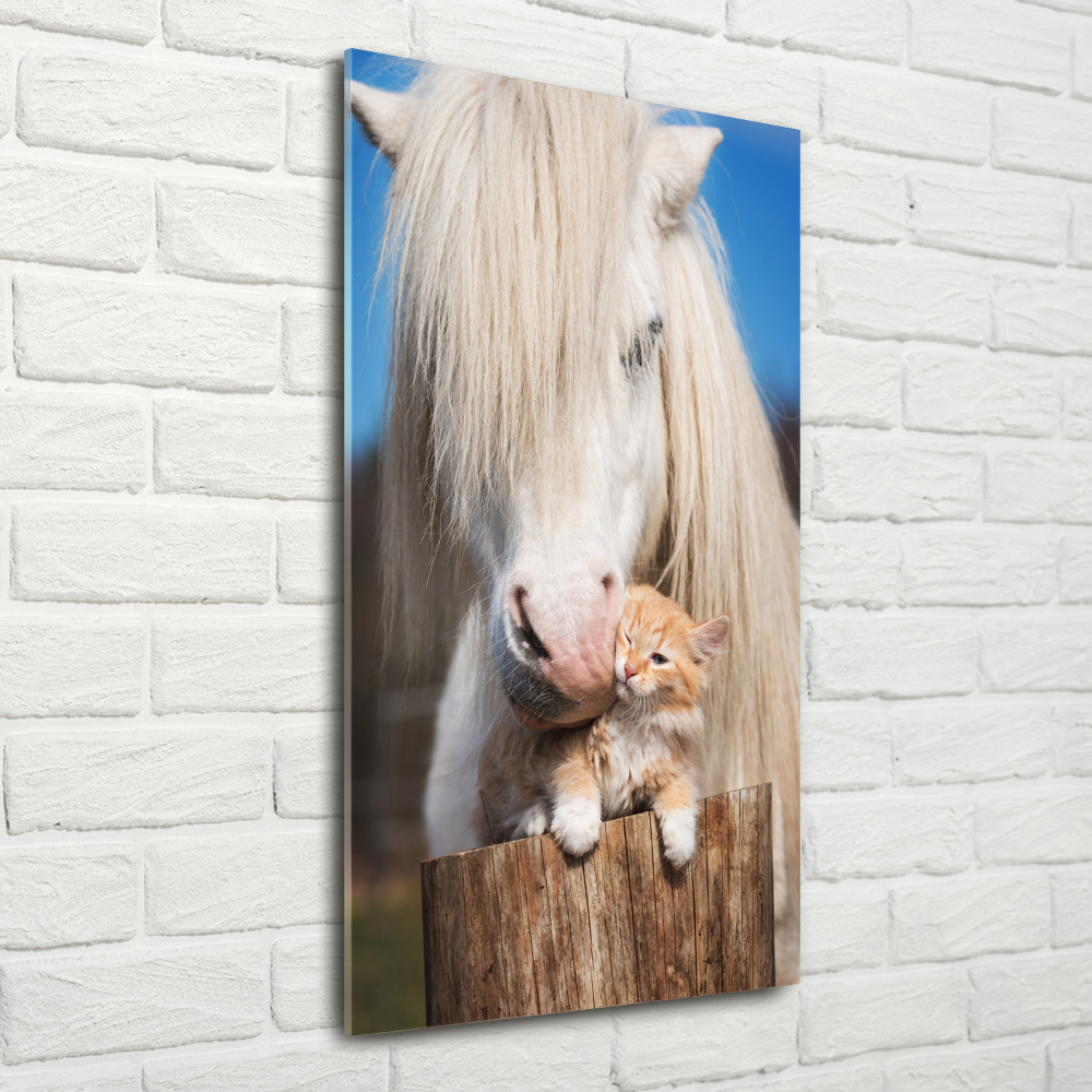 Foto-obraz akrylowy pionowy Biały koń z kotem