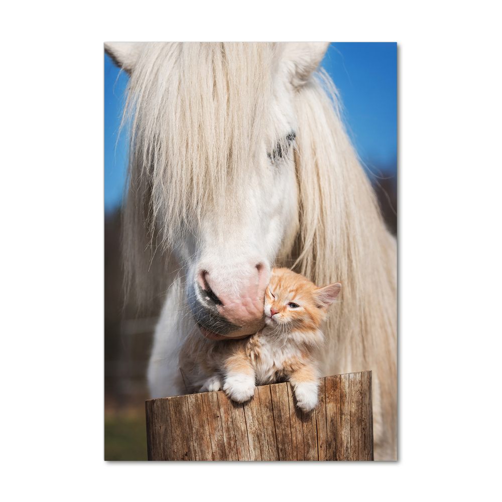 Foto-obraz akrylowy pionowy Biały koń z kotem