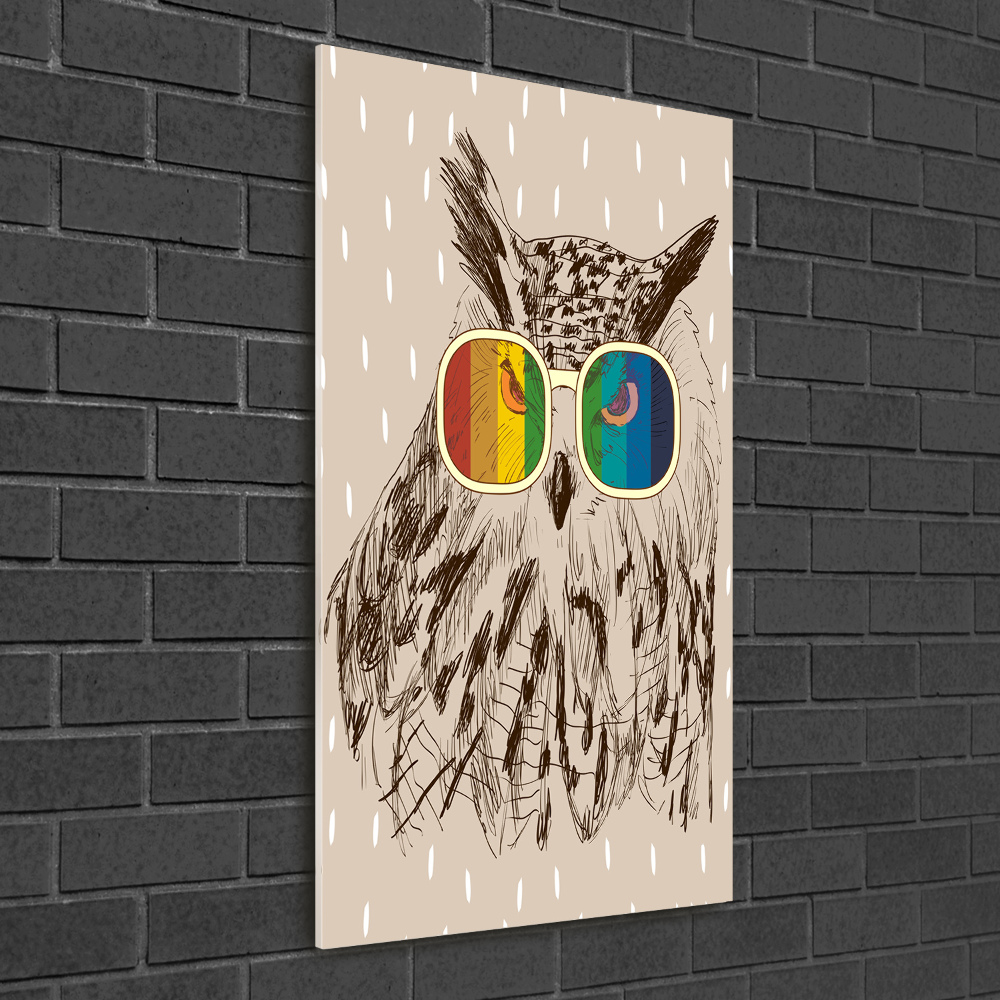 Obraz zdjęcie na ścianę akryl pionowy Sowy w okularach