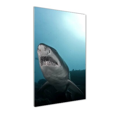 Foto-obraz akrylowy pionowy Duży rekin