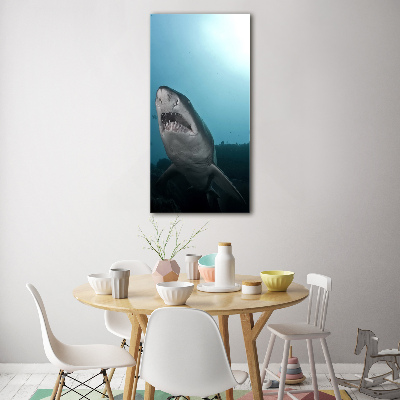 Foto-obraz akrylowy pionowy Duży rekin