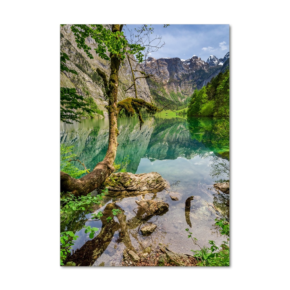 Obraz zdjęcie akryl pionowy Jezioro w górach