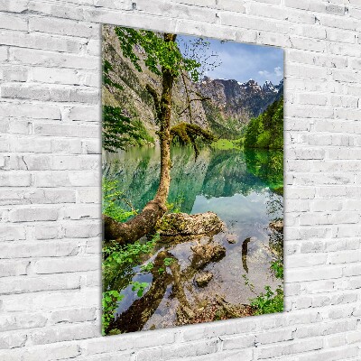 Obraz zdjęcie akryl pionowy Jezioro w górach