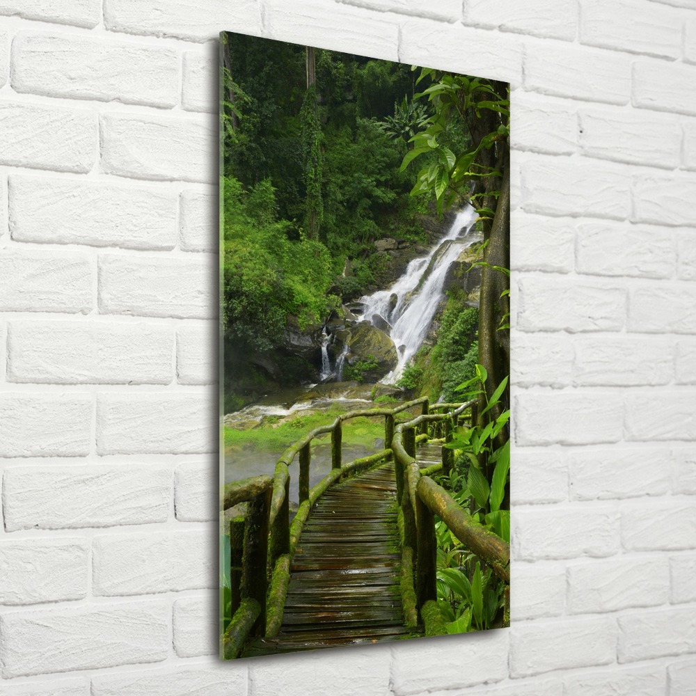 Obraz zdjęcie szkło akryl pionowy Ścieżka w dżungli