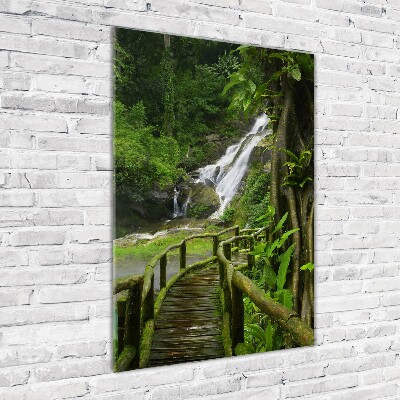Obraz zdjęcie szkło akryl pionowy Ścieżka w dżungli