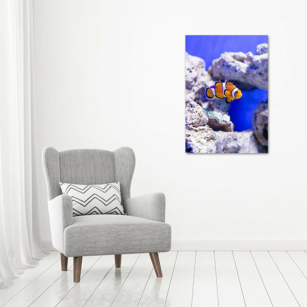 Foto-obraz akrylowy pionowy Ryba Nemo