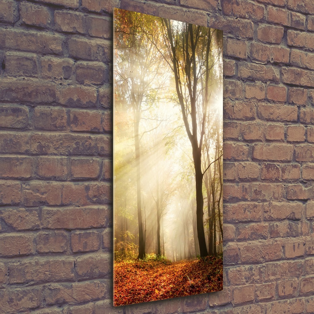 Fotoobraz na ścianę szkło akrylowe pionowy Las jesienią