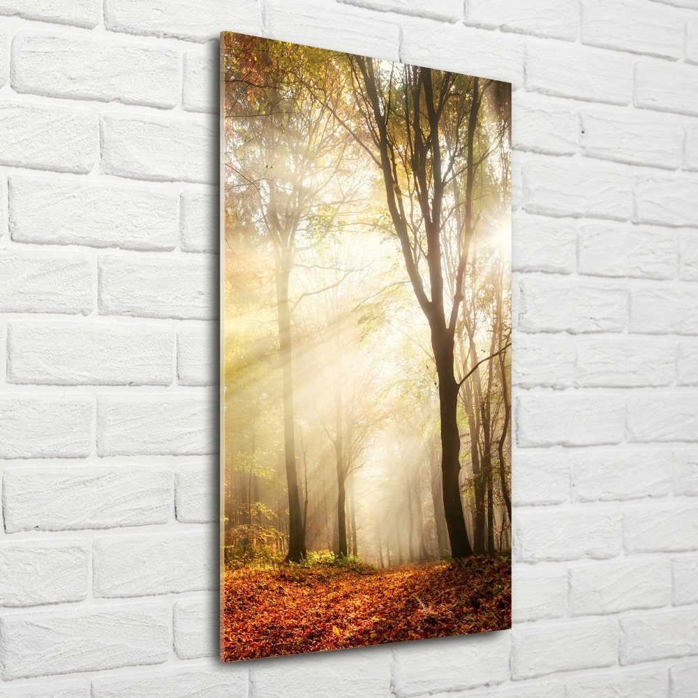 Fotoobraz na ścianę szkło akrylowe pionowy Las jesienią