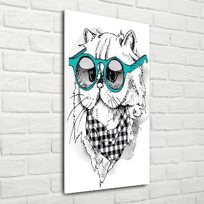 Obraz zdjęcie na ścianę akryl pionowy Kot w okularach