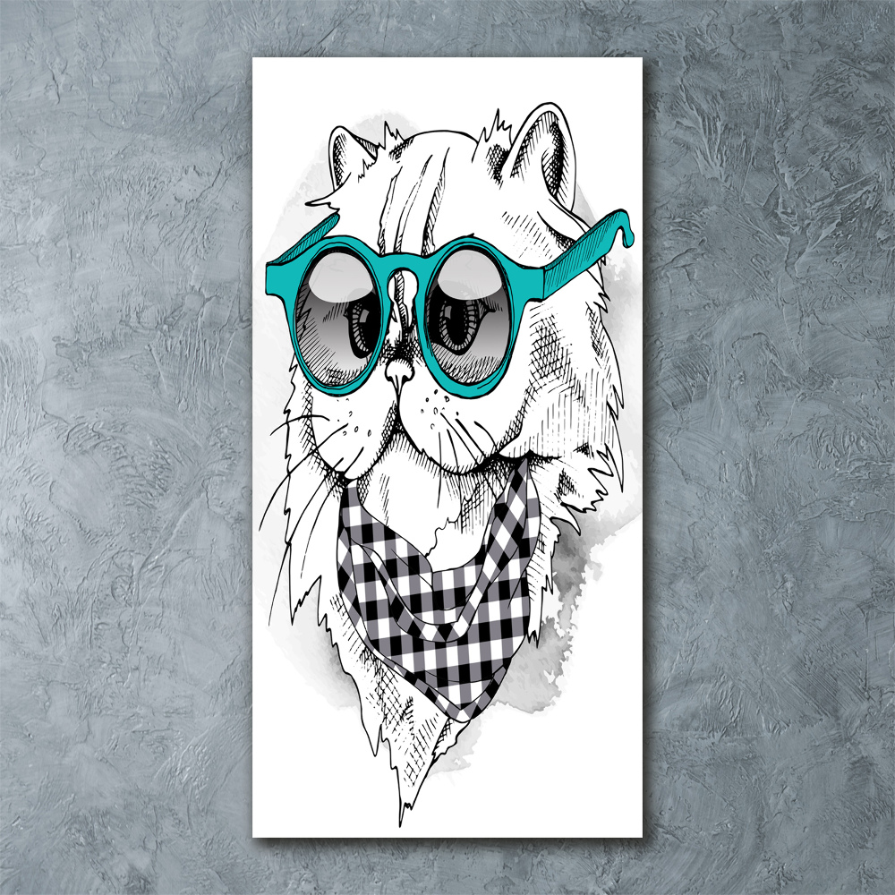 Obraz zdjęcie na ścianę akryl pionowy Kot w okularach