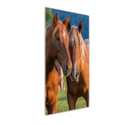 Foto obraz szkło akryl pionowy Dwa konie