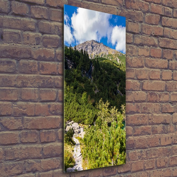 Foto obraz szkło akryl pionowy Morskie oko Tatry