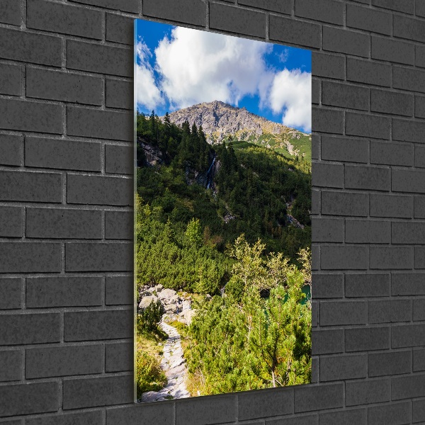 Foto obraz szkło akryl pionowy Morskie oko Tatry