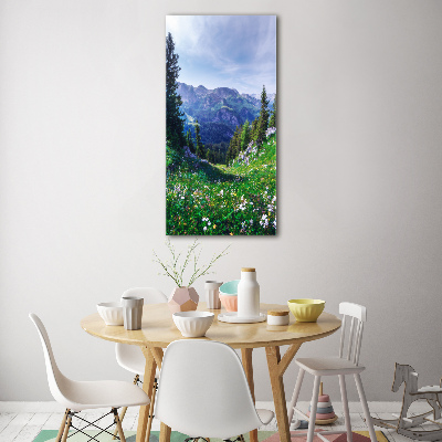 Obraz zdjęcie szkło akryl pionowy Alpy