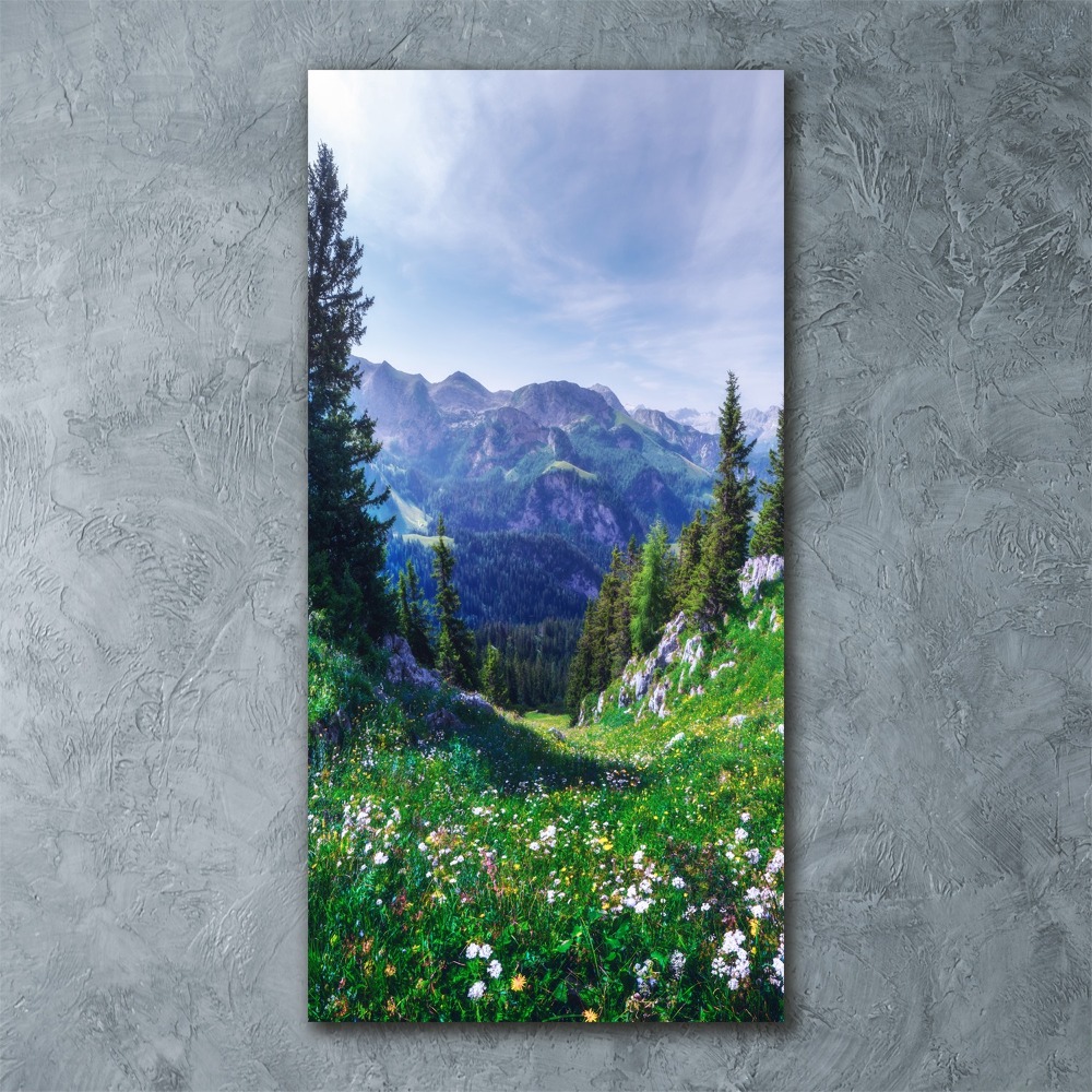 Obraz zdjęcie szkło akryl pionowy Alpy