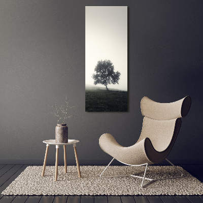 Obraz zdjęcie szkło akryl pionowy Drzewo we mgle