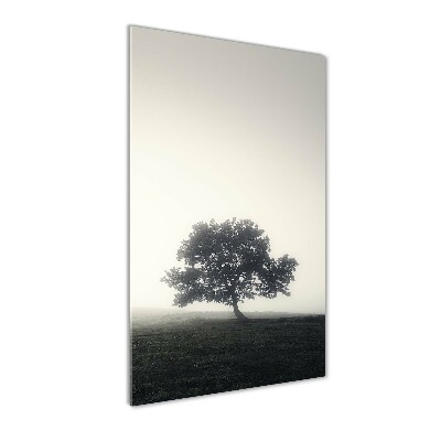 Obraz zdjęcie szkło akryl pionowy Drzewo we mgle